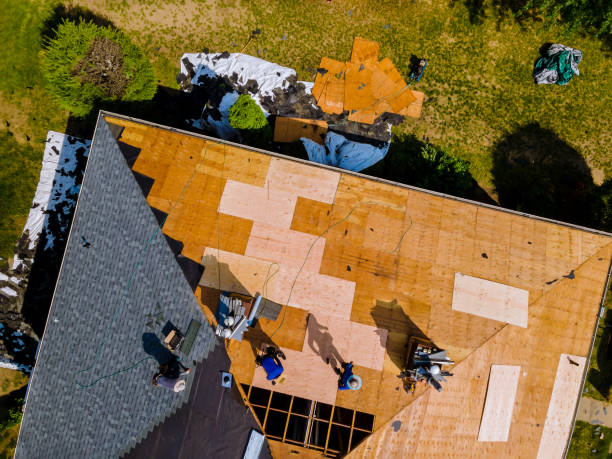 Best Emergency Roof Repair  in Lexington, NE